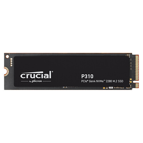 crucial-p310-1-to-2280